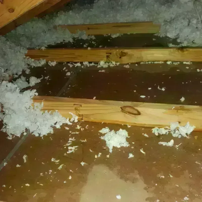 Attic Water Damage in Fredericksburg, PA